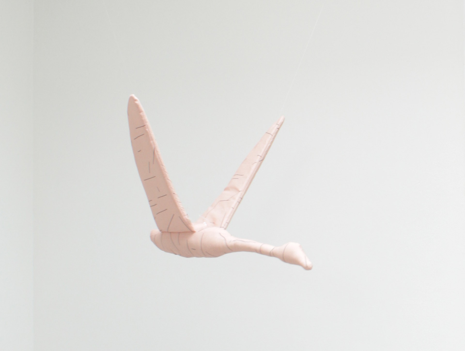 Swan S pink | rustbrown