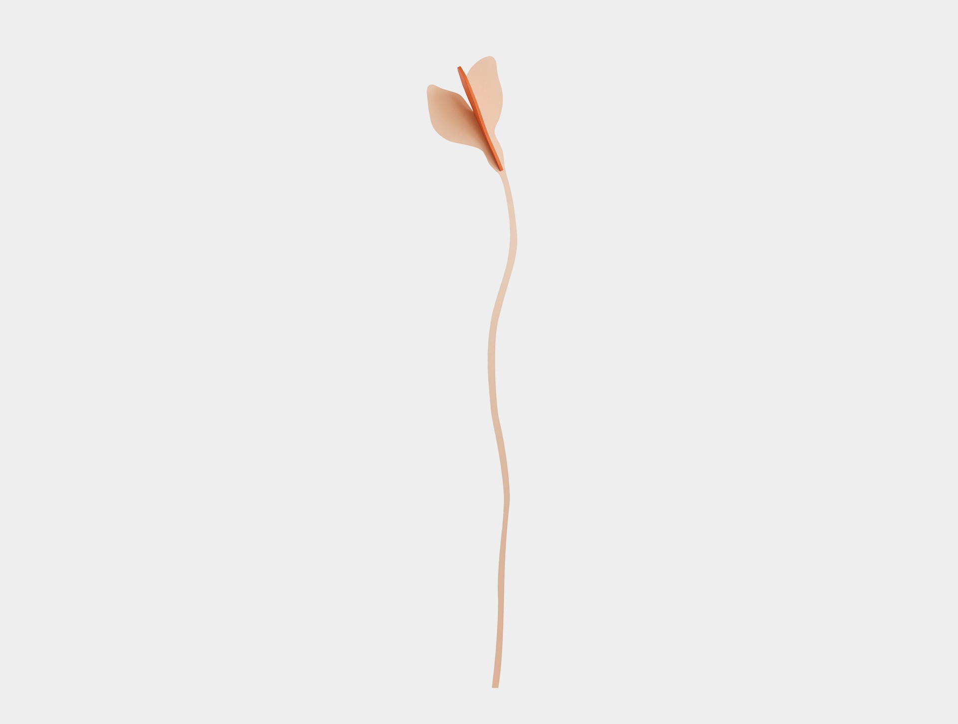 Crocus peach, large wooden flower