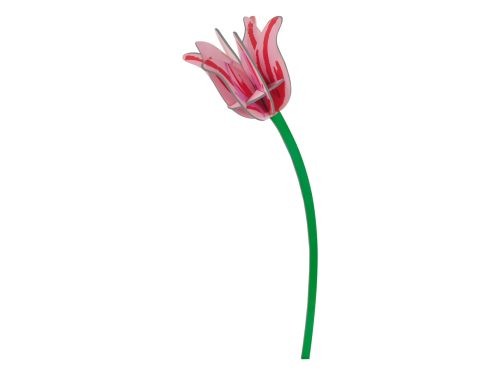Tulp roze XL.