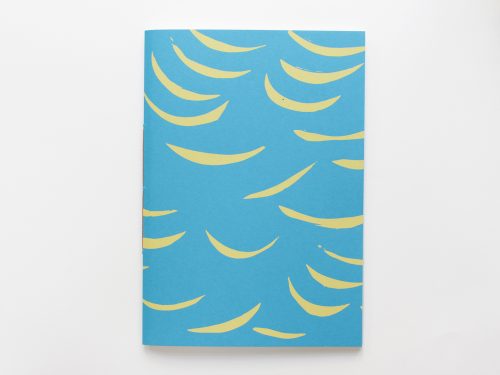 Notitieboekje B5 pennen blauw.