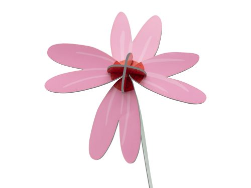 Pink Coneflower