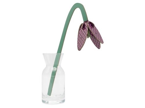 Kievitsbloem