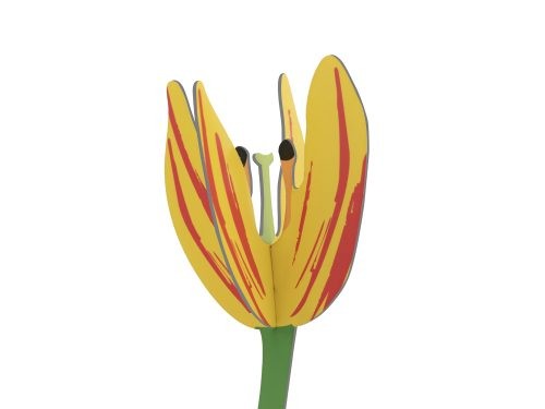 Sunset Tulp.